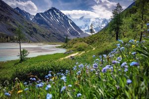 Алтай летом