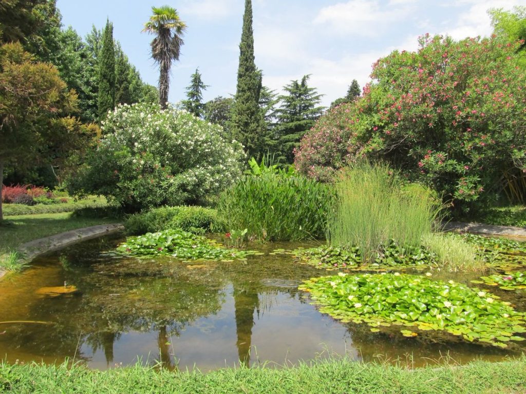 Парк Южные культуры туры в Сочи