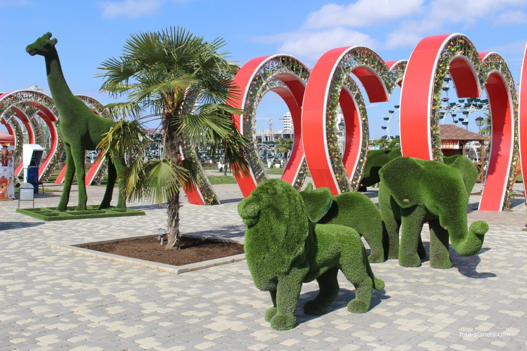 Цветочный парк в Грозном куда пойти Чечня