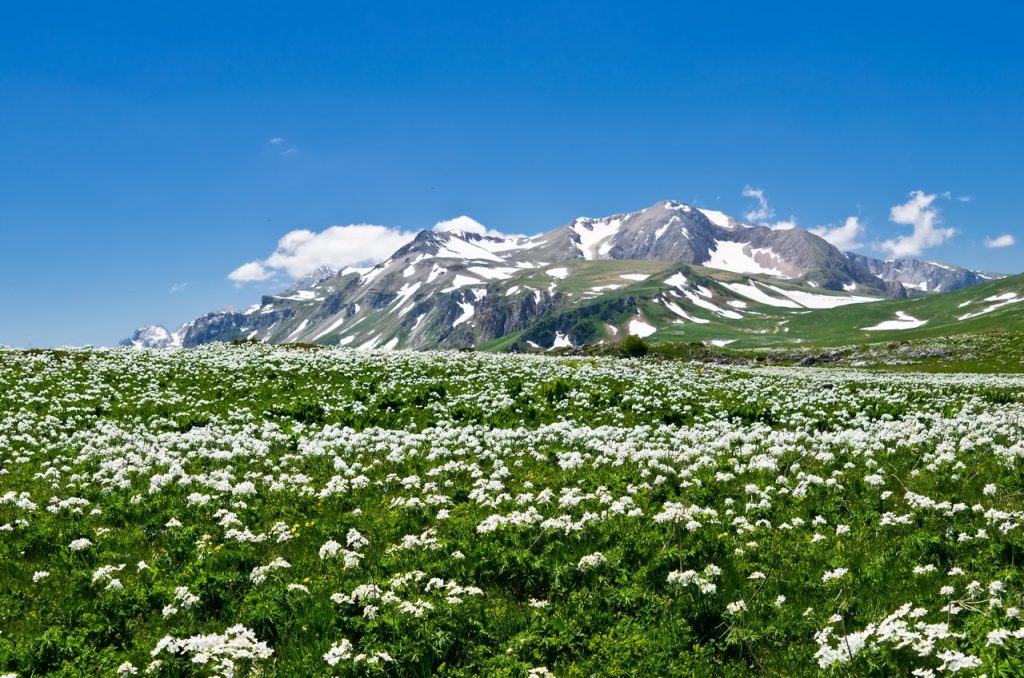 плато Лаго-Наки Адыгея весна