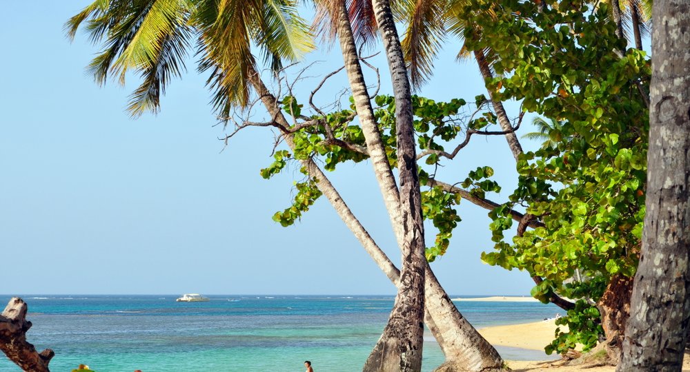 город Лонсестон